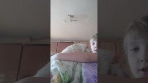 VID_20250201_091359.mp4