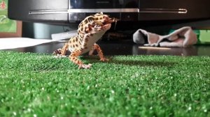 мильпопс ах как вкусно ням ням ням