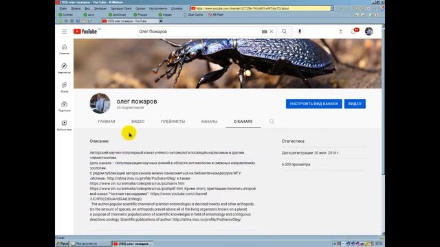 Канал о насекомых и энтомологии