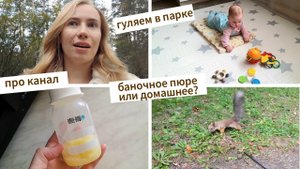 Прикорм в 4,5 месяца🥦 Гуляем в парке🐿 Переживания о канале | Будни мамы