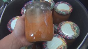 Дождь ВСЕ ИСПОРТИЛ! Консервация на зиму. Такого УРОЖАЯ и ВРАГУ НЕ ПОЖЕЛАЮ!