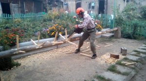 Обрезка сучьев