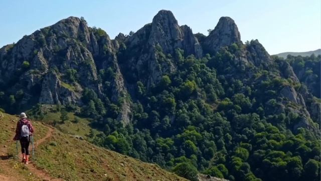 ԲՌԱՎՈ_Սոսո Պավլիաշվիլին Հայերի Համար Ալիևին Կոխեց ՇԻՇԸ Հանեց_Մեծատառով Մարդ смотреть онлайн