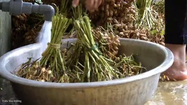 How to weave Bamboo baskets to catch Fish, Make colorful sticky rice. Trieu Mai Huong