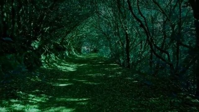 Фёдор Тютчев._Silentium!_. ( Молчание). Читает автор канала.