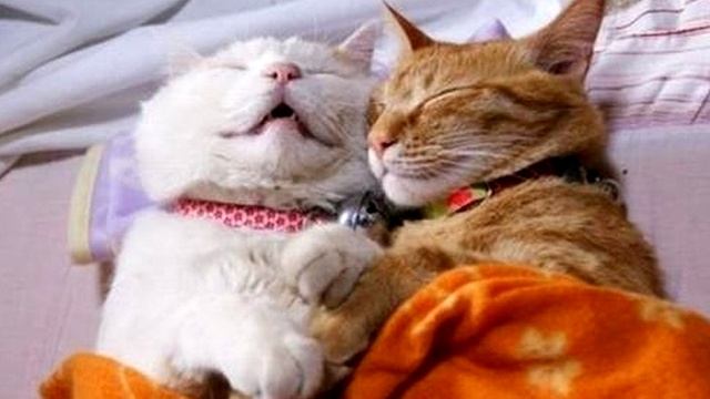 Забытый танец. Сергей Чекалин смотреть онлайн