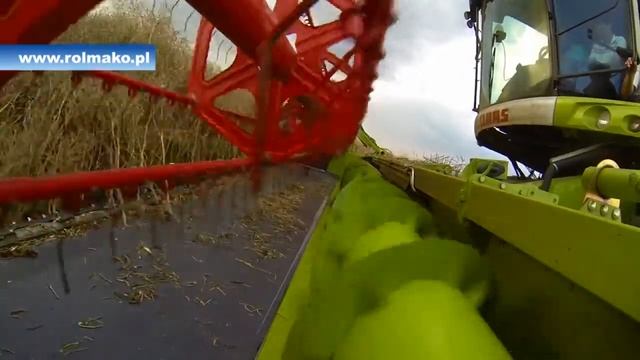 Rolmako - Рапсовый стол Rolmako 2014