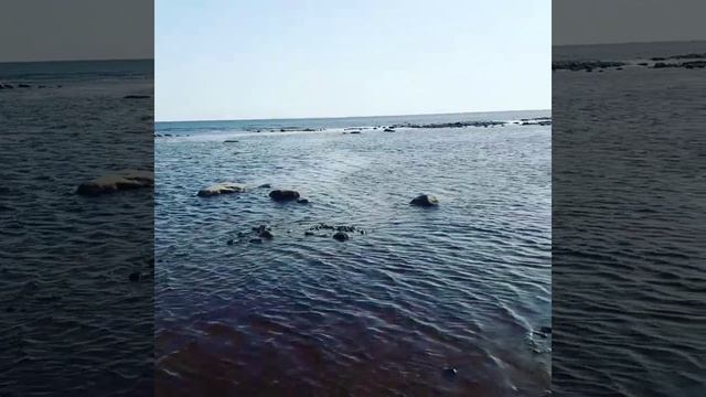 Город Зеленогорск, Курортный район Санкт-Петербурга смотреть онлайн