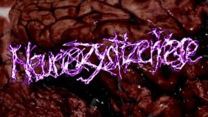 5. Neurozystizerkose - Aphephosmophobie