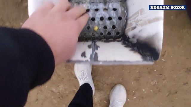 МОЛХОНА УЧУН СОМОН МАЙДАЛАГИЧ НАРХЛАРИ 2021г ХОРАЗМ БОЗОР.
