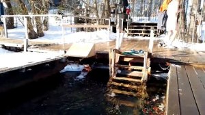 Питерский клуб любителей зимнего плавания ОЗЕРКИ 🦭🦭🦭