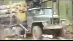 Грузовые автомобили: Лесовозы УРАЛ 4320 на бездорожье