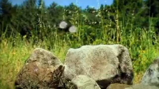 История любви