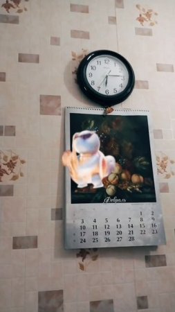🖐️ФЕВРАЛЬ