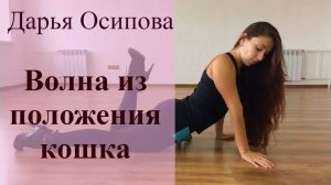 Базовая стрип-пластика/Волна из положения кошка