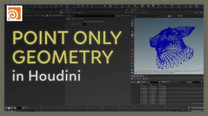 19 Point Only Geometry in Houdini