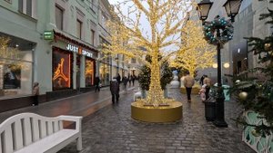 Новый год в Москве | Китайский новый год | 2025 год