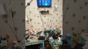 уровень сигнала на 523 триколор проверяем