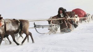 Зима в Сибири.
