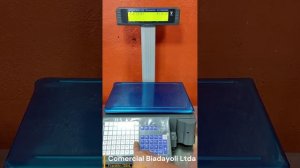 COMO PROGRAMAR PLU DIGI SM320