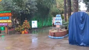 Г. СОЧИ, ПАРК «РИВЬЕРА» - ПРОГУЛКА