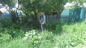 Показываю всё в действии. Обзор аккумуляторного триммера для садового участка
