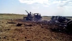 Зеленополье. 11.07.2014