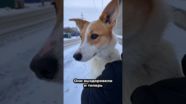 Этот взгляд растопит Ваше сердце | Дженни