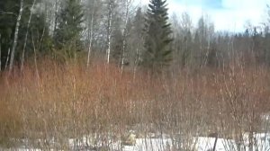 Поехали за родниковой водой. Ч1. Доча помогает папе... Зима Карелия. Сортавала