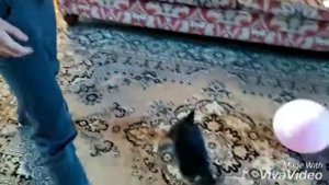 😆24 ЧАСА С ТОЛСТЫМ ЖИВОТОМ😉