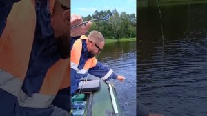 Сом на джиг. Рыбалка на реке Сясь. 15.07.24