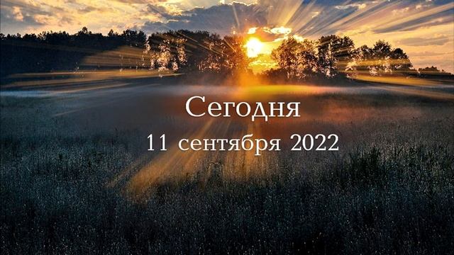 Cегодня