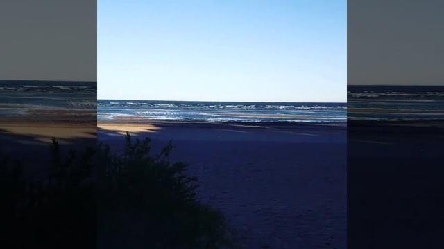 Город Зеленогорск, Курортный район Санкт-Петербурга смотреть онлайн