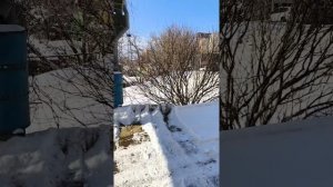 микс работ за январь. Сергей автоэлектрик Владивосток