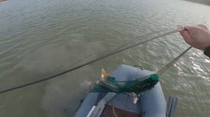 рыбалка кастинговой сетью  2024 ( отличный улов сазаны есть )