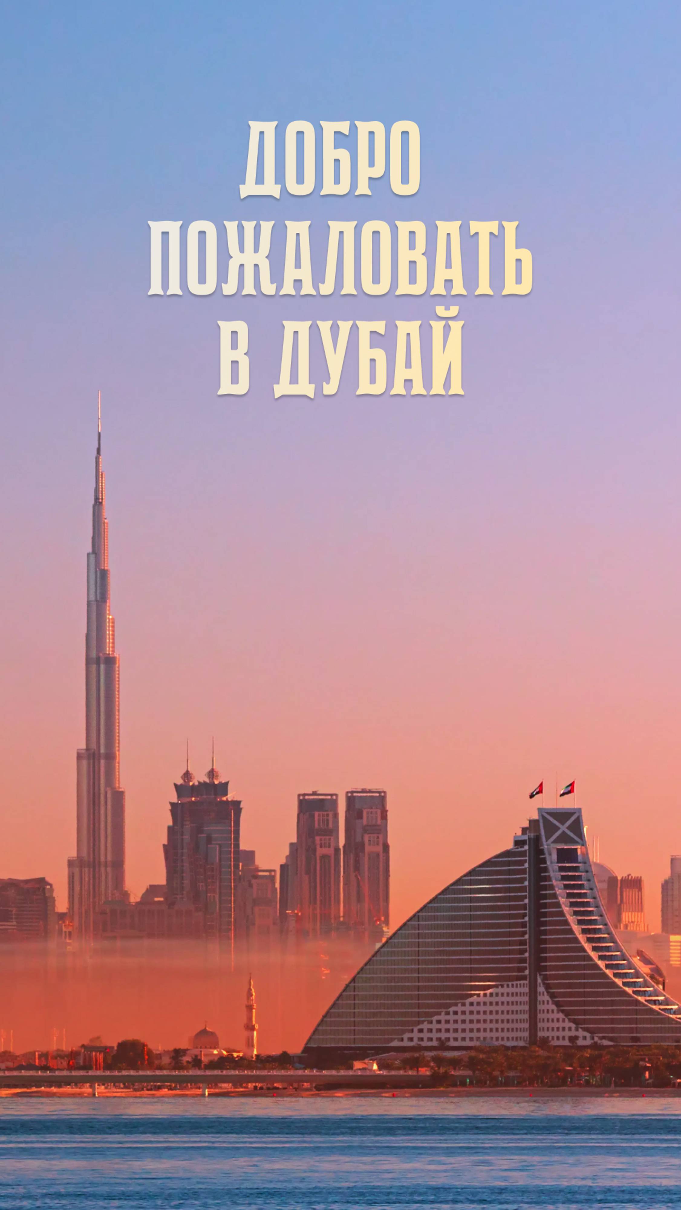 Отзывы