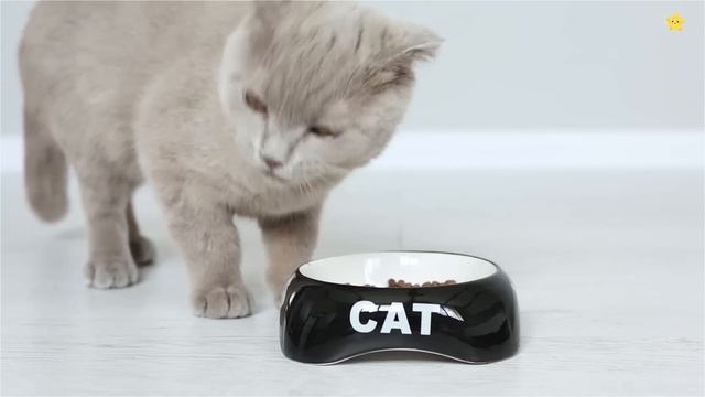 СБОРНИК - Как говорят животные Звуки животных Домашние животные для детей Корова Лошадь смотреть онлайн