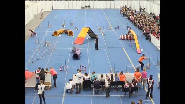 16 11 14 Маслова Олеся и пудель София Ю смотреть онлайн