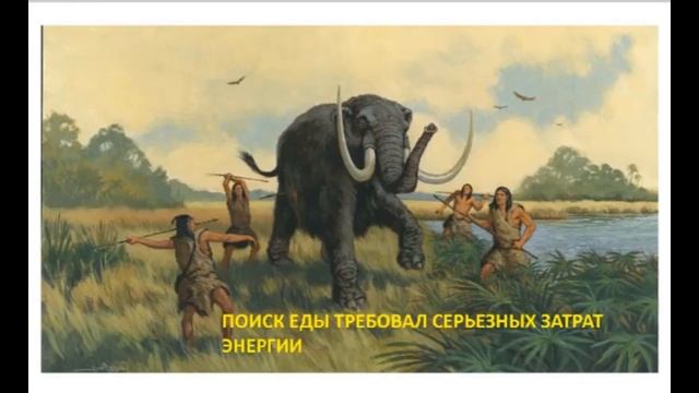 Управление весом