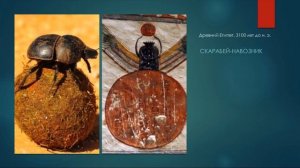 МУХОМОР или ПСИЛОЦИБИН? Размышления.