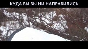 Для этих вездеходов границ не существует!