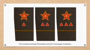 Знаки различия РККА 1919 года