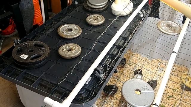 DIY IBC Tote (Intermediate Bulk Container) Chick Brooder - Fast, Cheap, Easy for Backyard Chickens