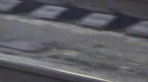 Поезда сбивают птиц