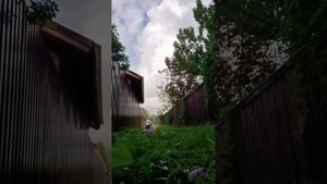 пилот тайна закопанной маски#therian #квд#фильм#квадробика #минифильм