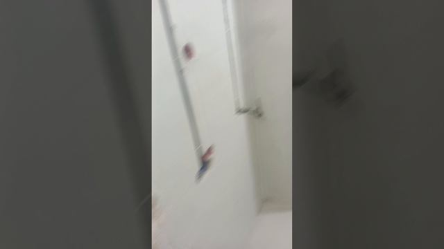 Декабристов 20
