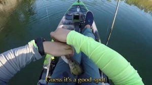 Trying the WHOPPER PLOPPER, Largemouth BASS FISHING