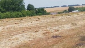 Пресс подборщик класс маркант 40