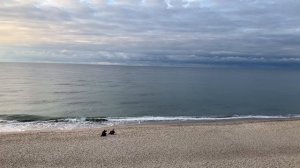 Куршская коса в Калининградской области.