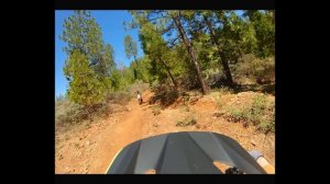 Sur-ron Light Bee X - First Ride